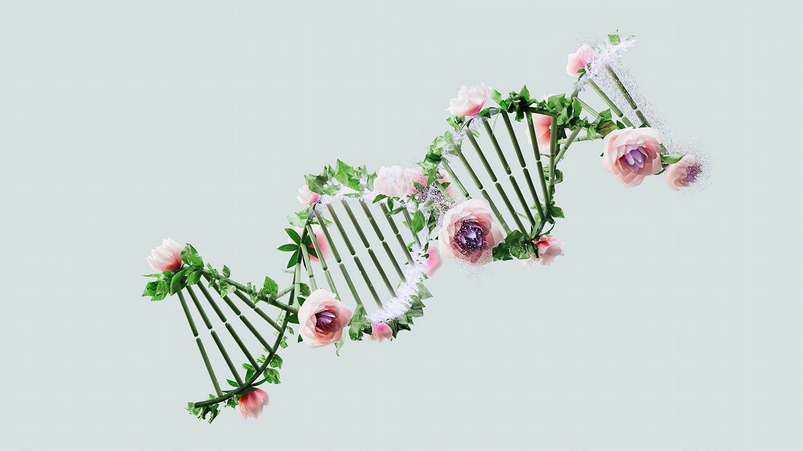 A Functional Medicine Approach to Treating MTHFR Gene Mutations