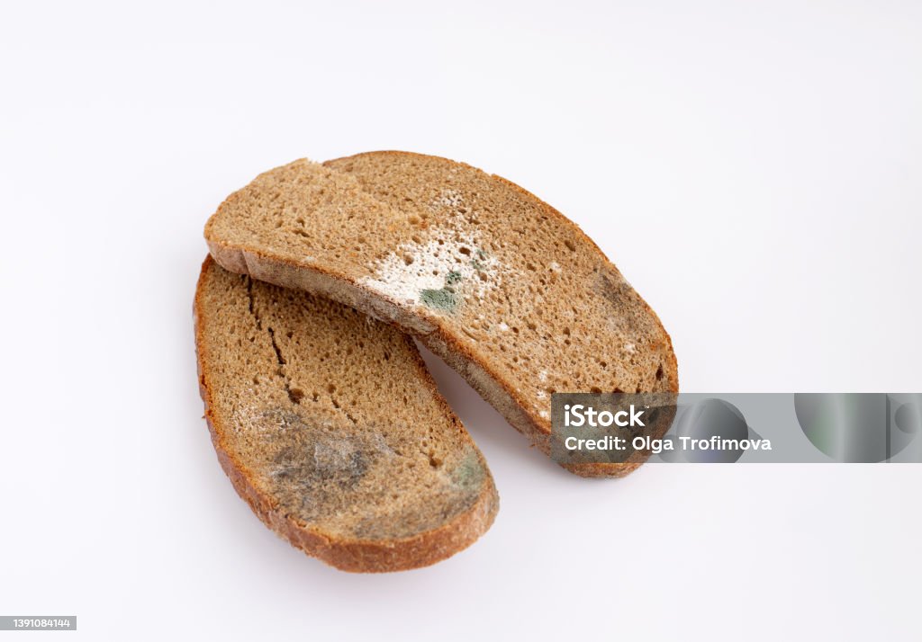 Mold Toxicity: The Hidden Epidemic and How Functional Medicine Can Help