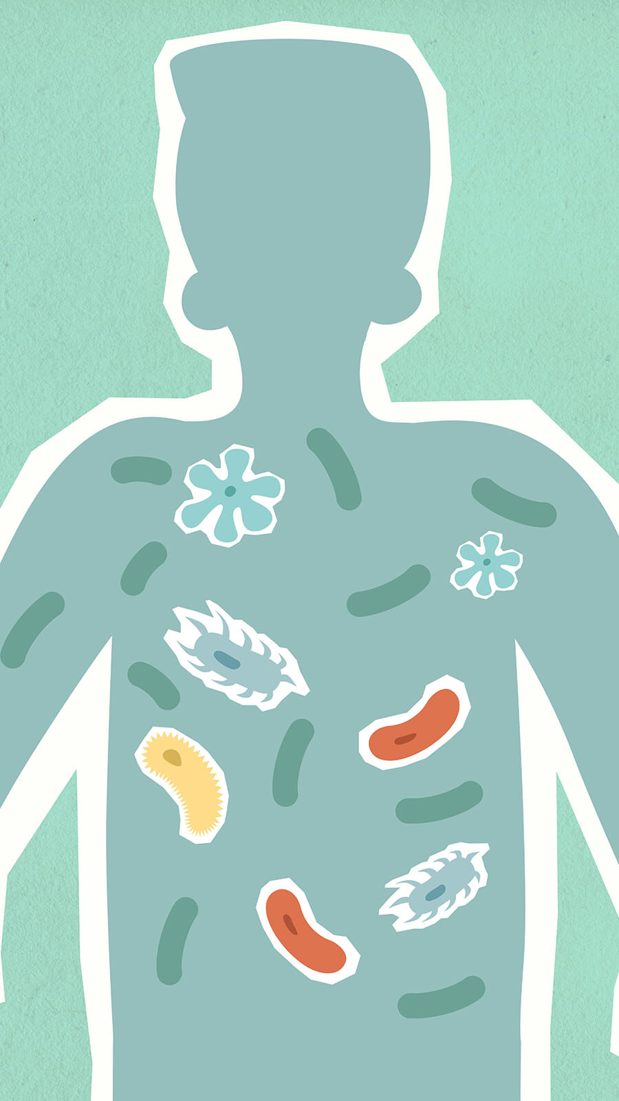 The Gut Microbiome: The Key to Your Immune Health